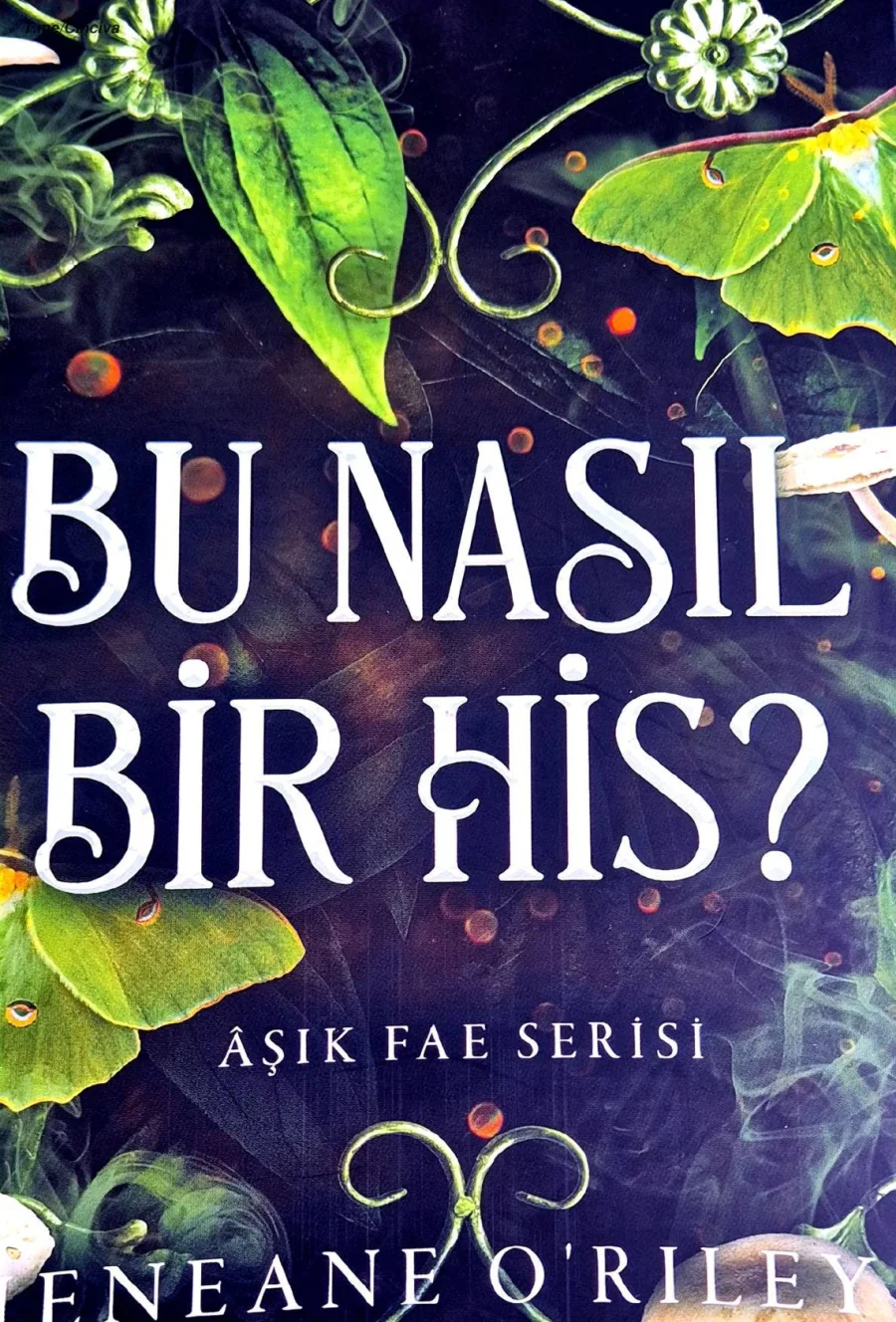 Bu Nasıl Bir His? kapak görseli