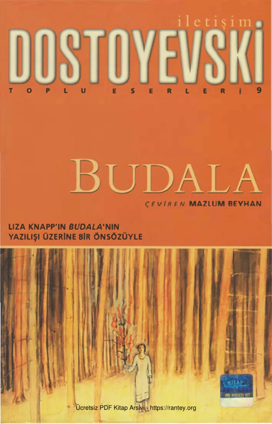 Budala kapak görseli