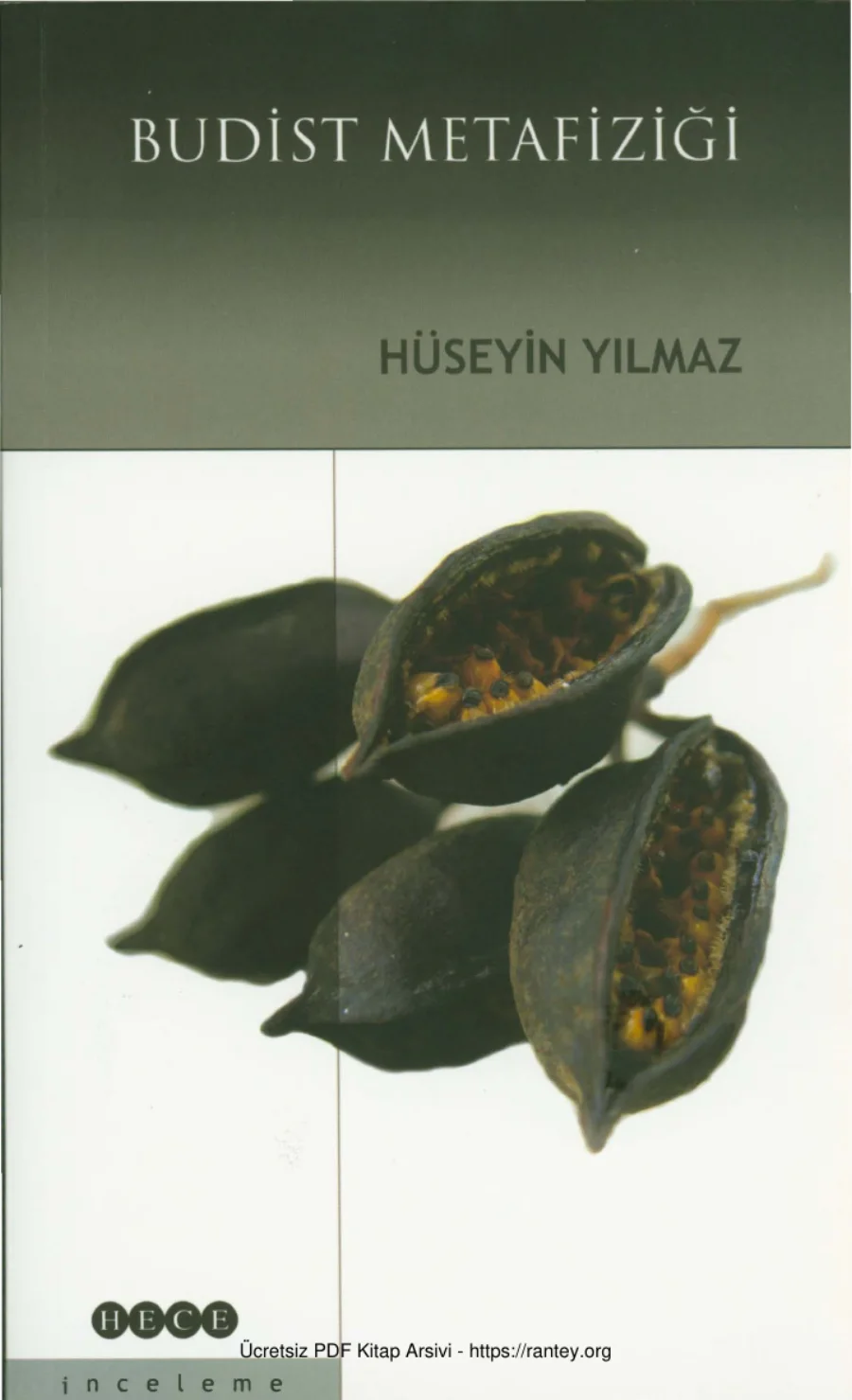 Budist Metafiziği kapak görseli