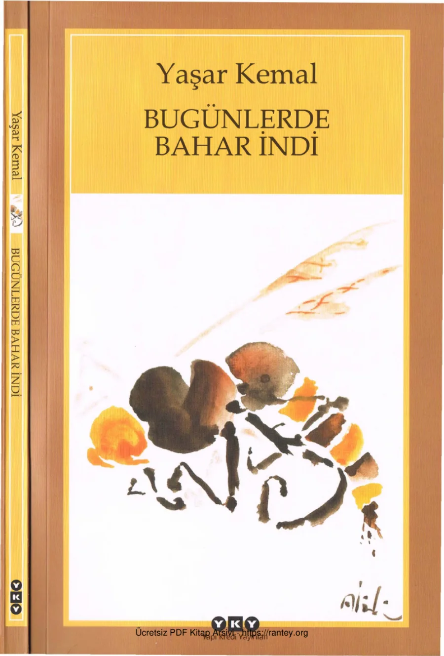 Bugünlerde Bahar İndi kapak görseli