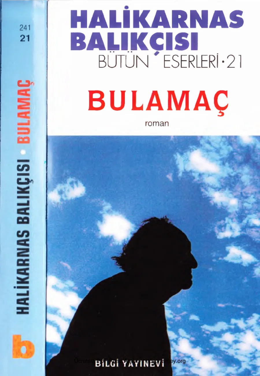 Bulamaç kapak görseli