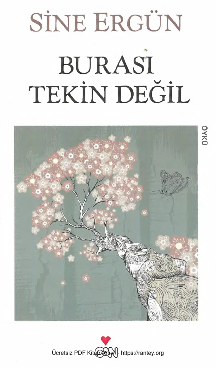 Burası Tekin Değil kapak görseli