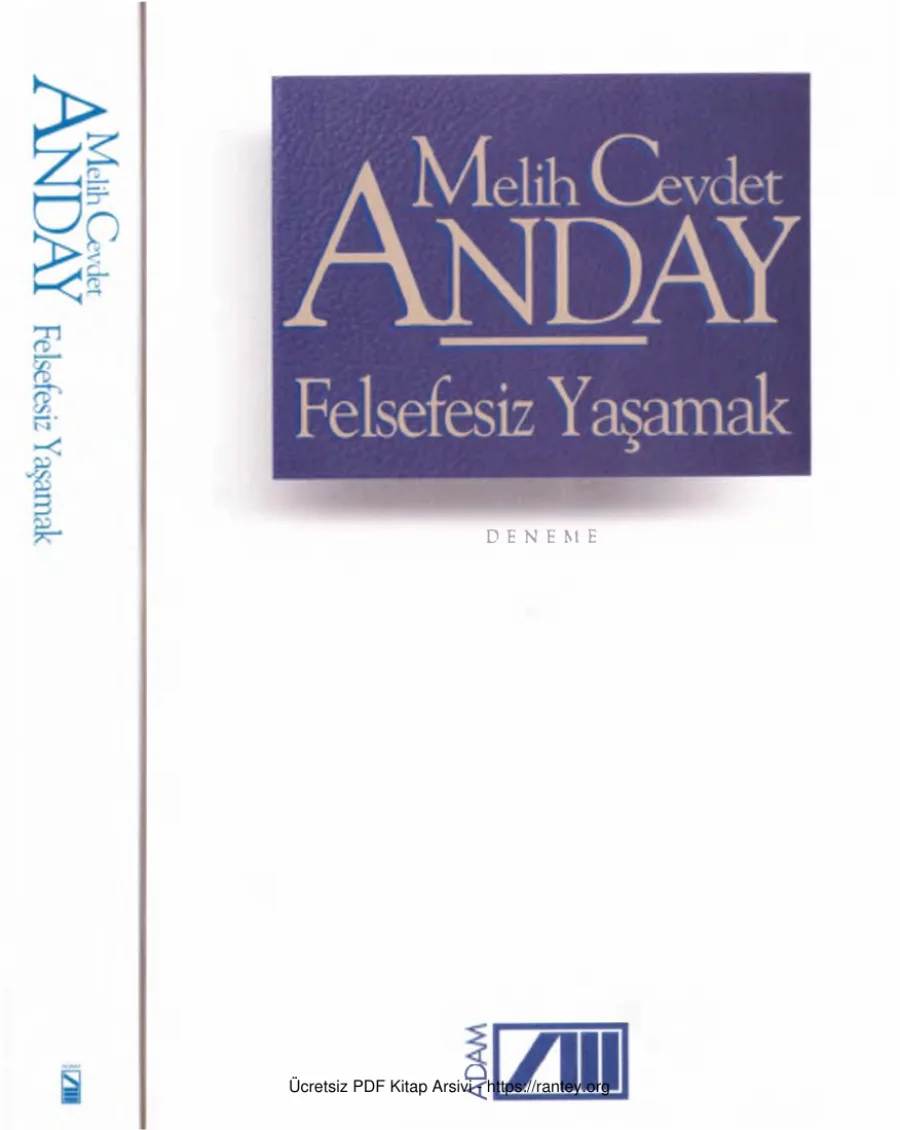 Bütün Eserleri 13 Felsefesiz Yaşamak kapak görseli