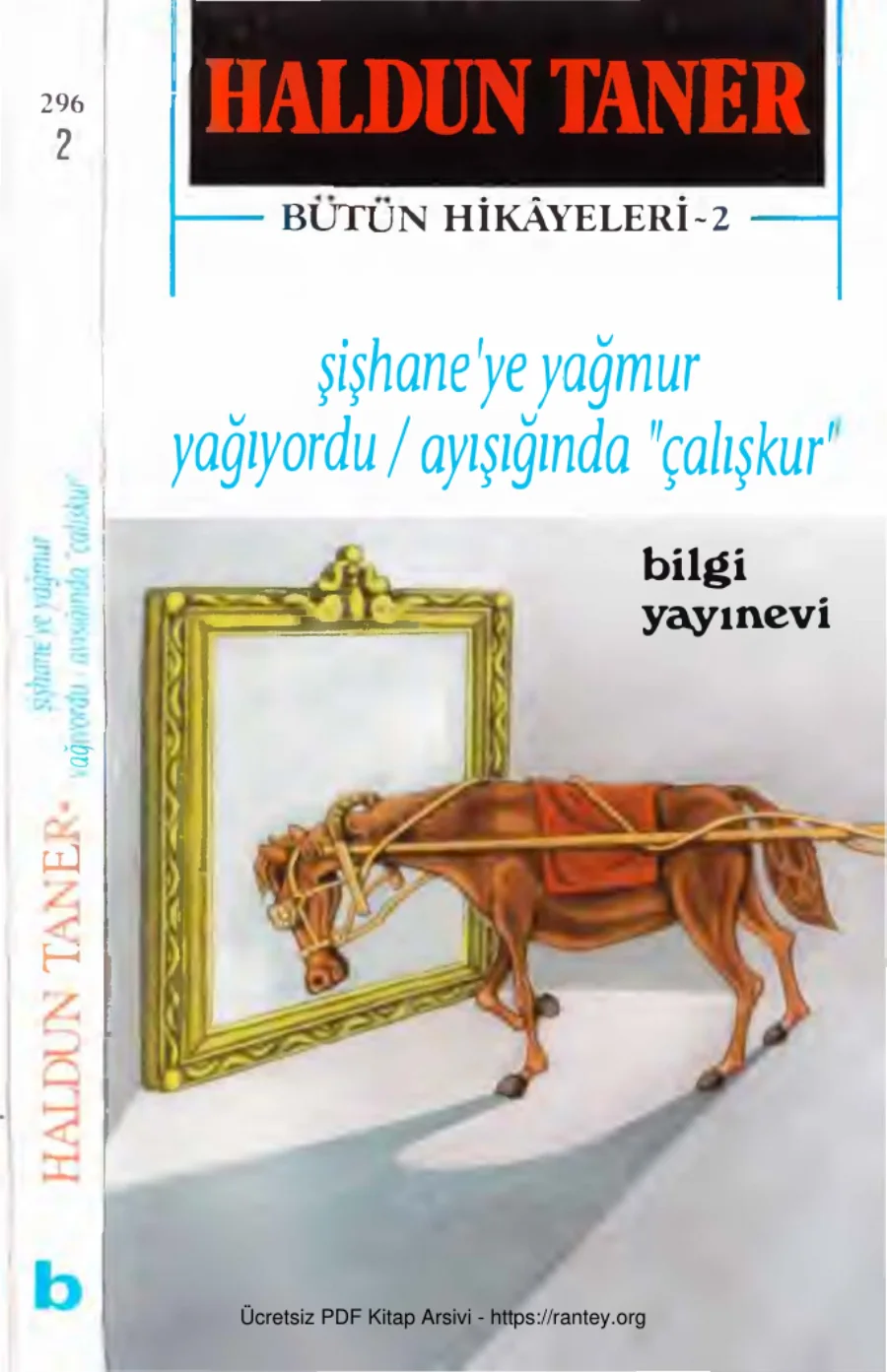 Bütün Hikayeleri 2 Şişhaneye Yağmur Yağıyordu Ayışığında Çalışkur kapak görseli