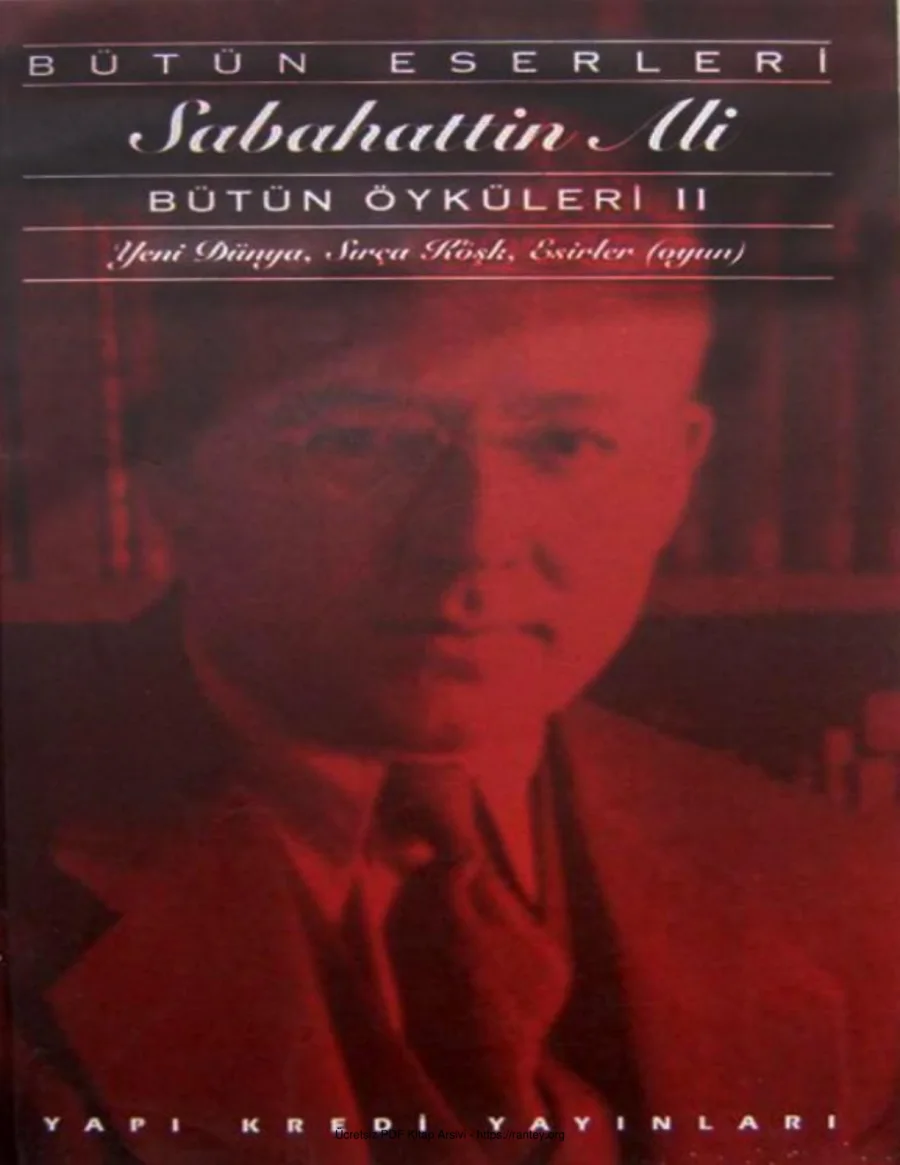 Bütün Öyküleri 2 kapak görseli