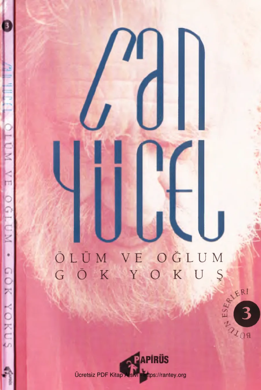 Bütün Şiirleri 3 Ölüm ve Oğlum Gök Yokuş Papirüs Yay 1998 cs kapak görseli