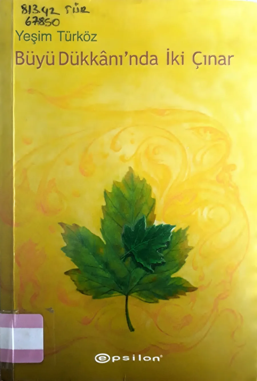 Büyü Dükkanı'nda İki Çınar kapak görseli