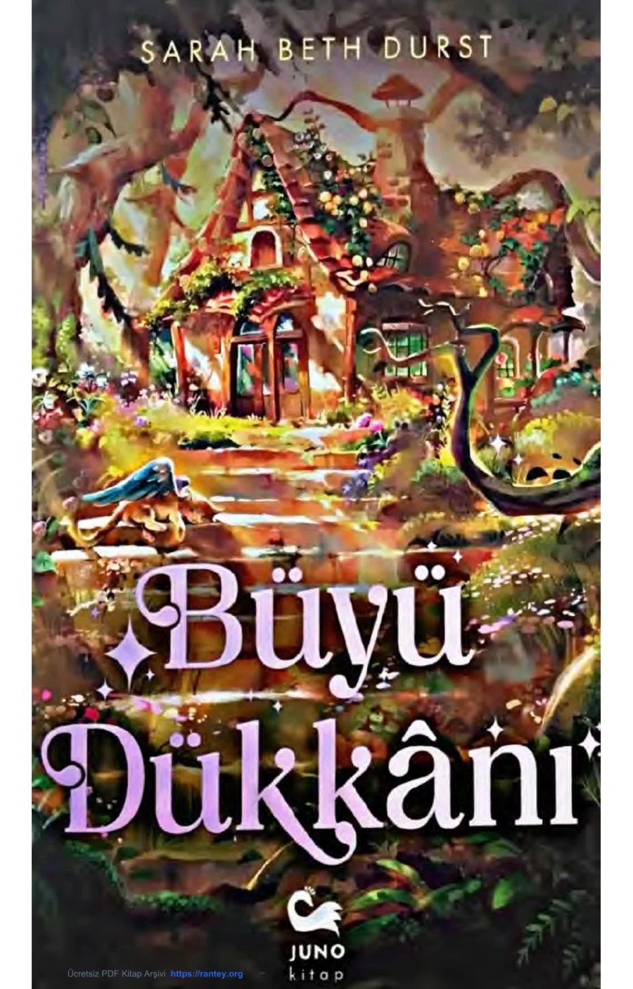 Büyü Dükkanı kapak görseli