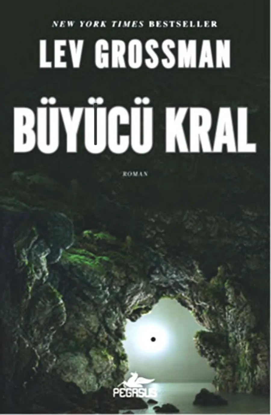 Büyücü Kral kapak görseli