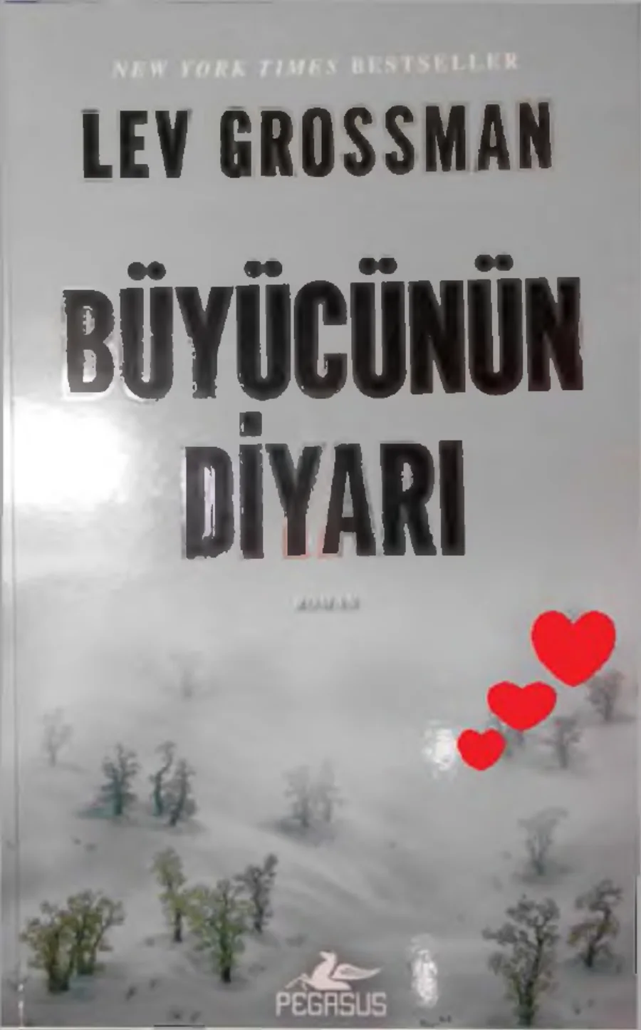 Büyücünün Diyarı kapak görseli