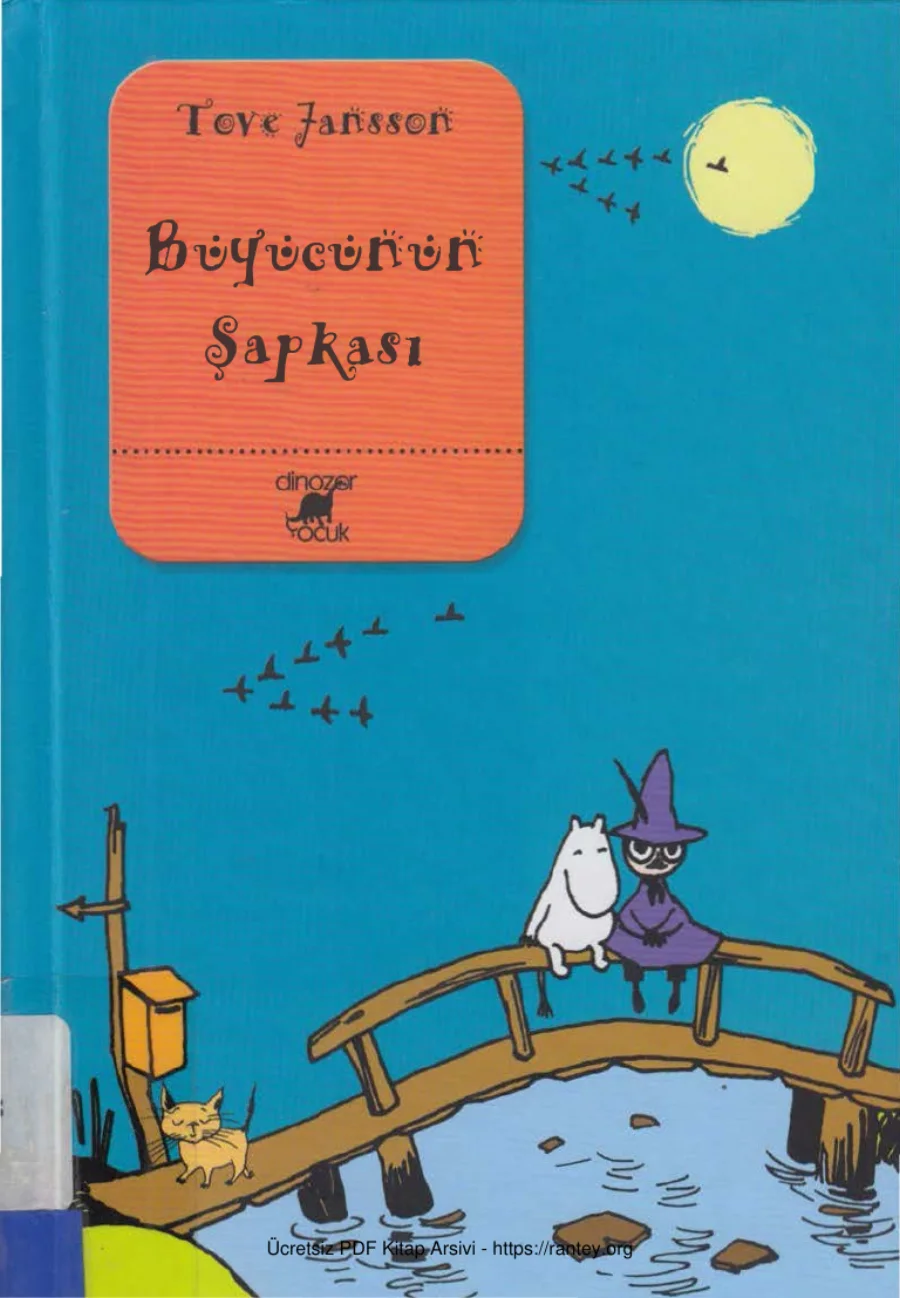 Buyucunun Sapkası cs kapak görseli