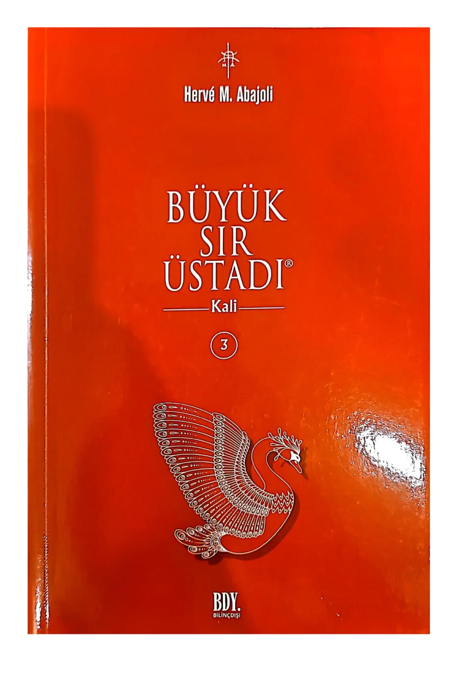 Büyük Sır Üstadı - Kali kapak görseli
