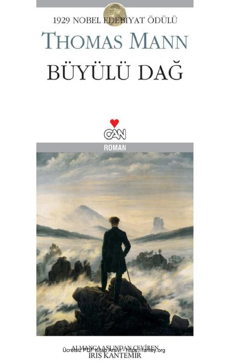 Büyülü Dağ kapak görseli