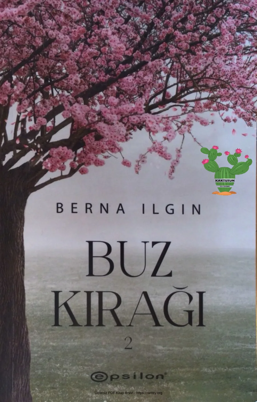 Buz Kırağı 2 kapak görseli