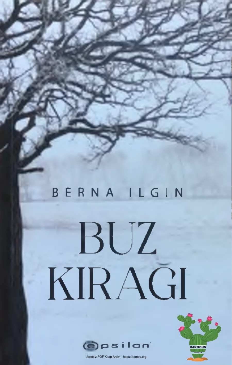 Buz Kırağı kapak görseli