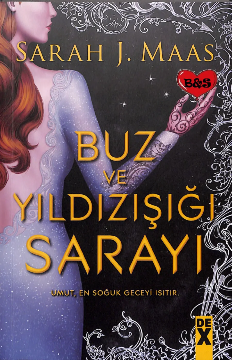 Buz ve Yıldızışığı Sarayı kapak görseli