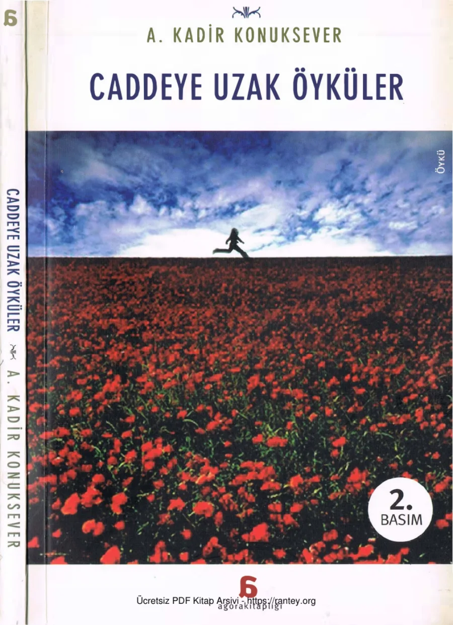 Caddeye Uzak Öyküler kapak görseli