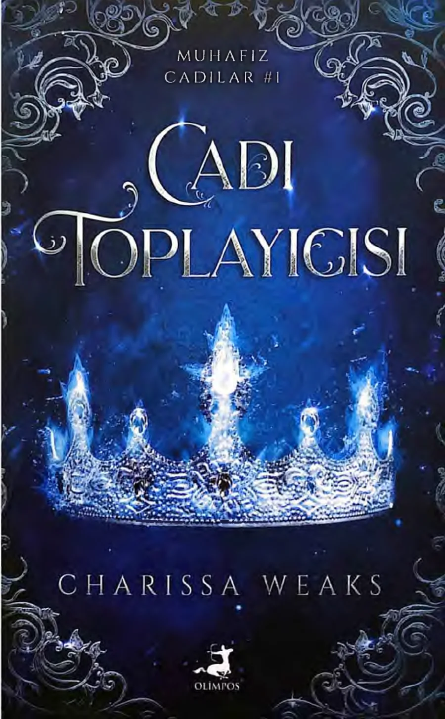 Cadı Toplayıcısı kapak görseli