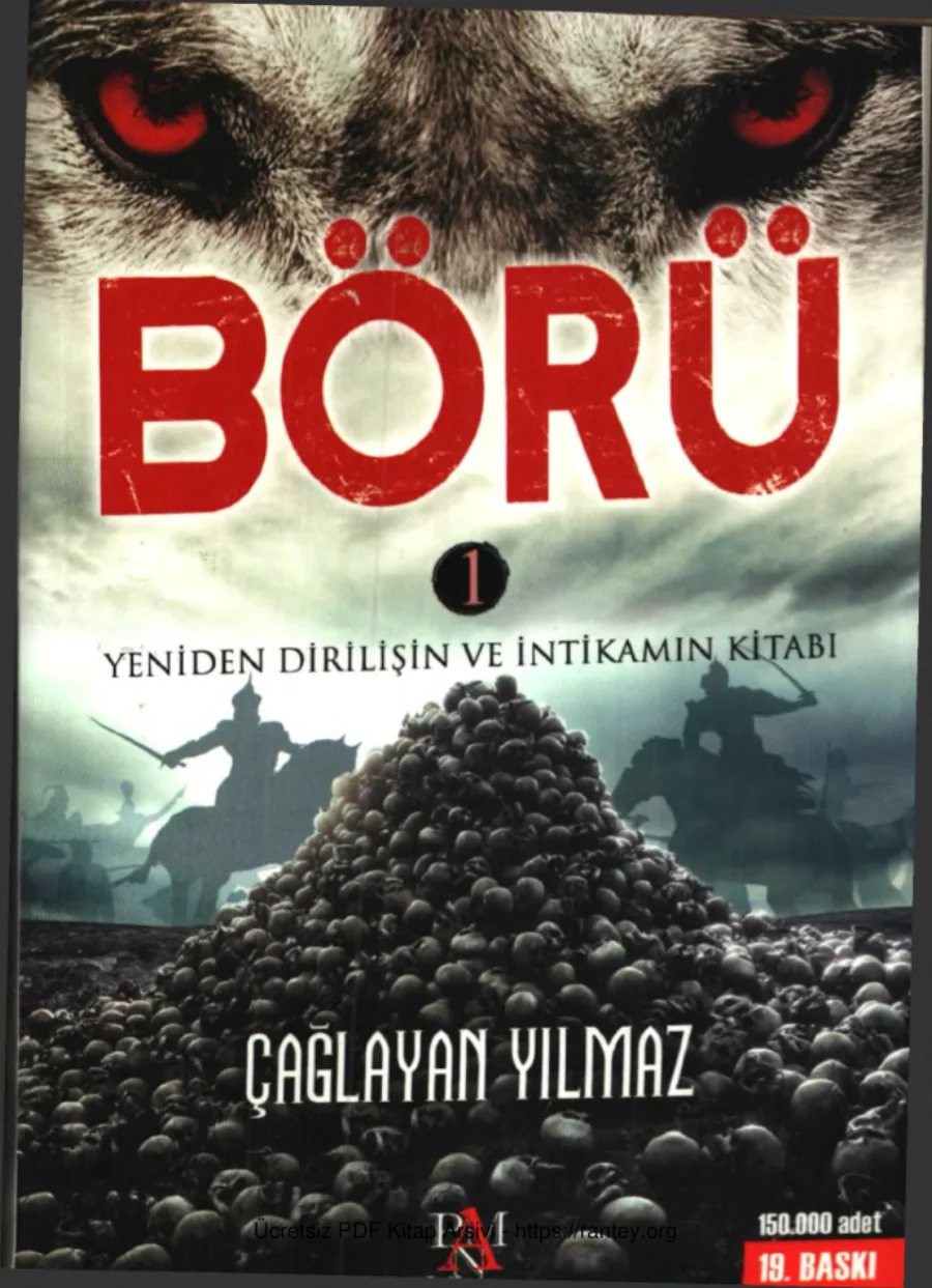 Çağlayan Yılmaz Börü kapak görseli