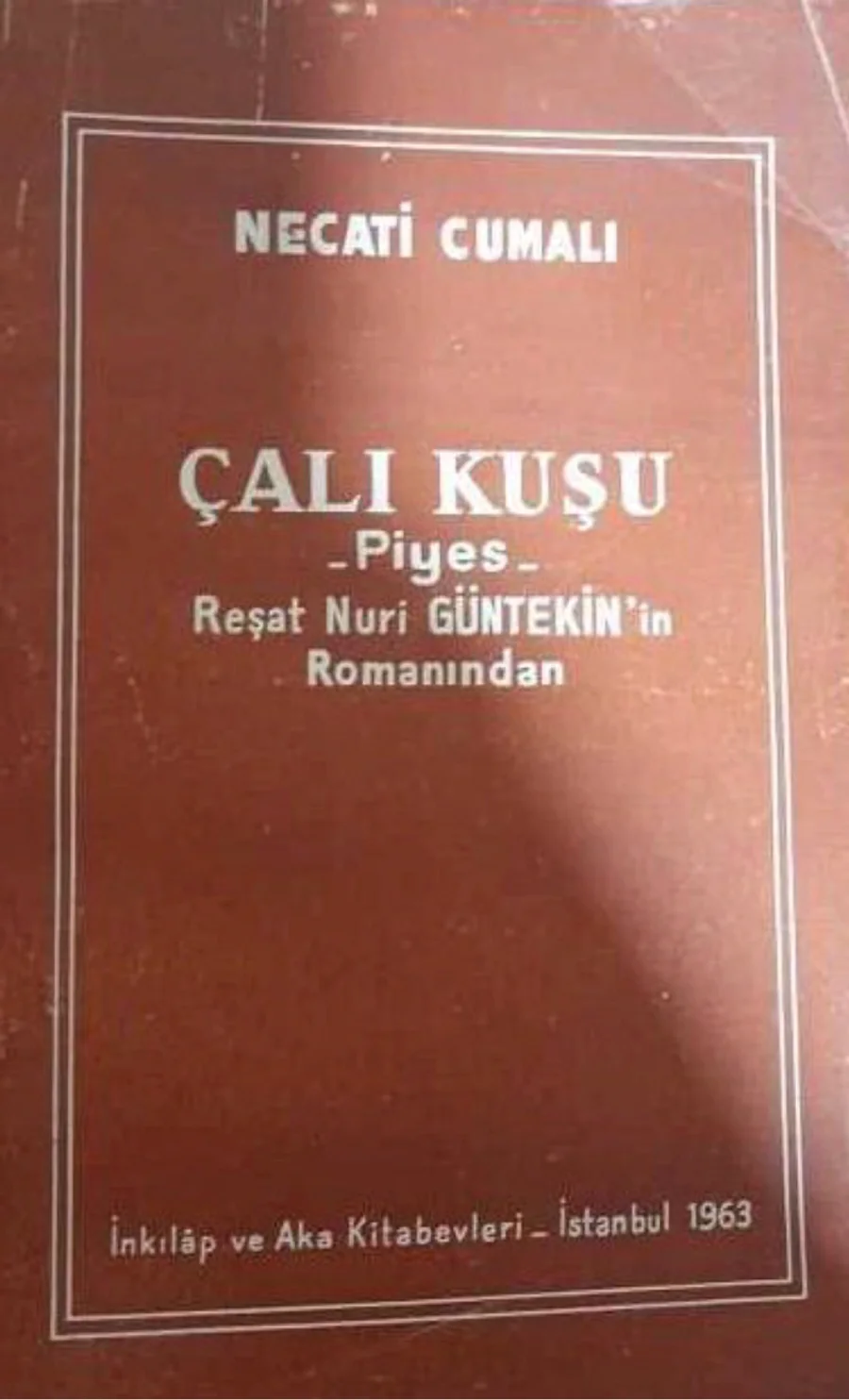 Çalıkuşu - Oyun kapak görseli