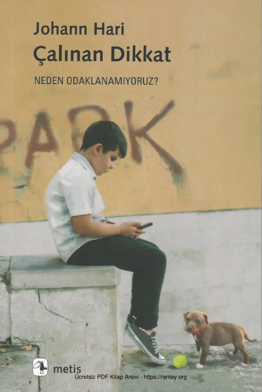 Çalınan Dikkat kapak görseli