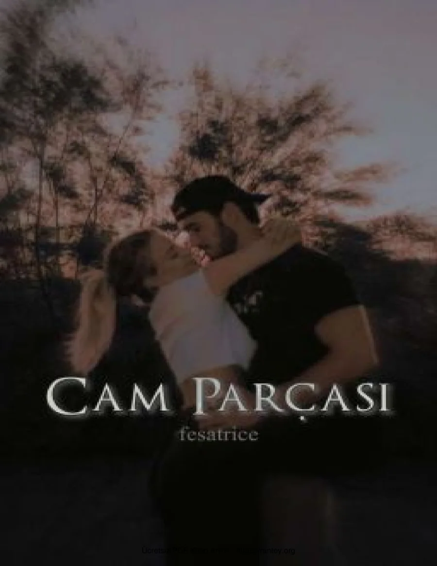 Cam Parçası kapak görseli