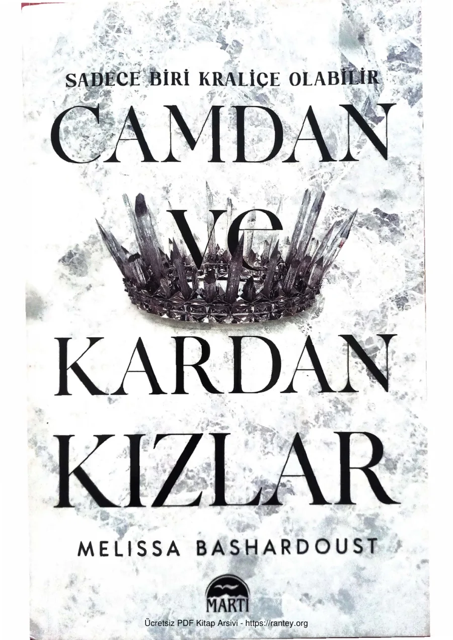 Camdan Ve Kardan Kızlar 2023 kapak görseli
