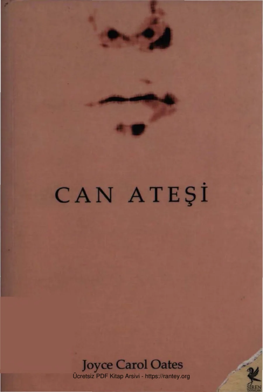 Can Ateşi kapak görseli