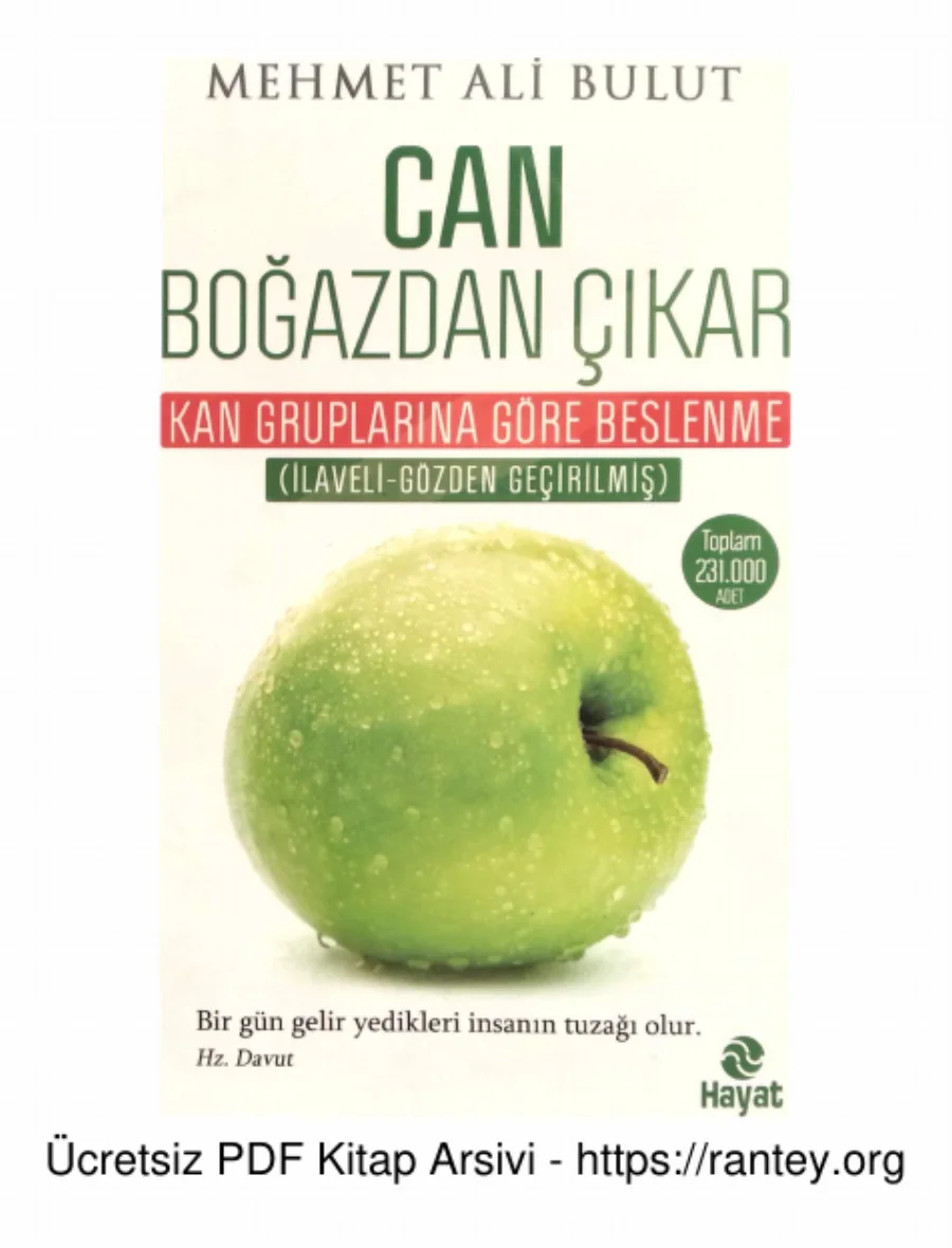 Can Bogazdan Cıkar kapak görseli