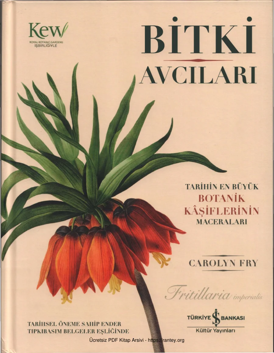 Carolyn Fry Bitki Avcıları kapak görseli