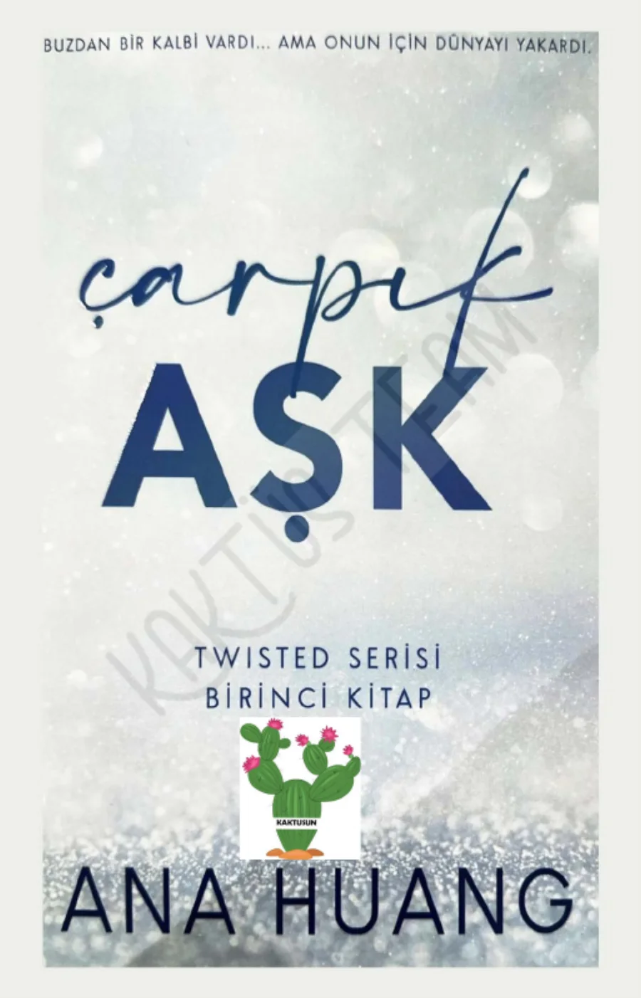 Çarpık Aşk kapak görseli