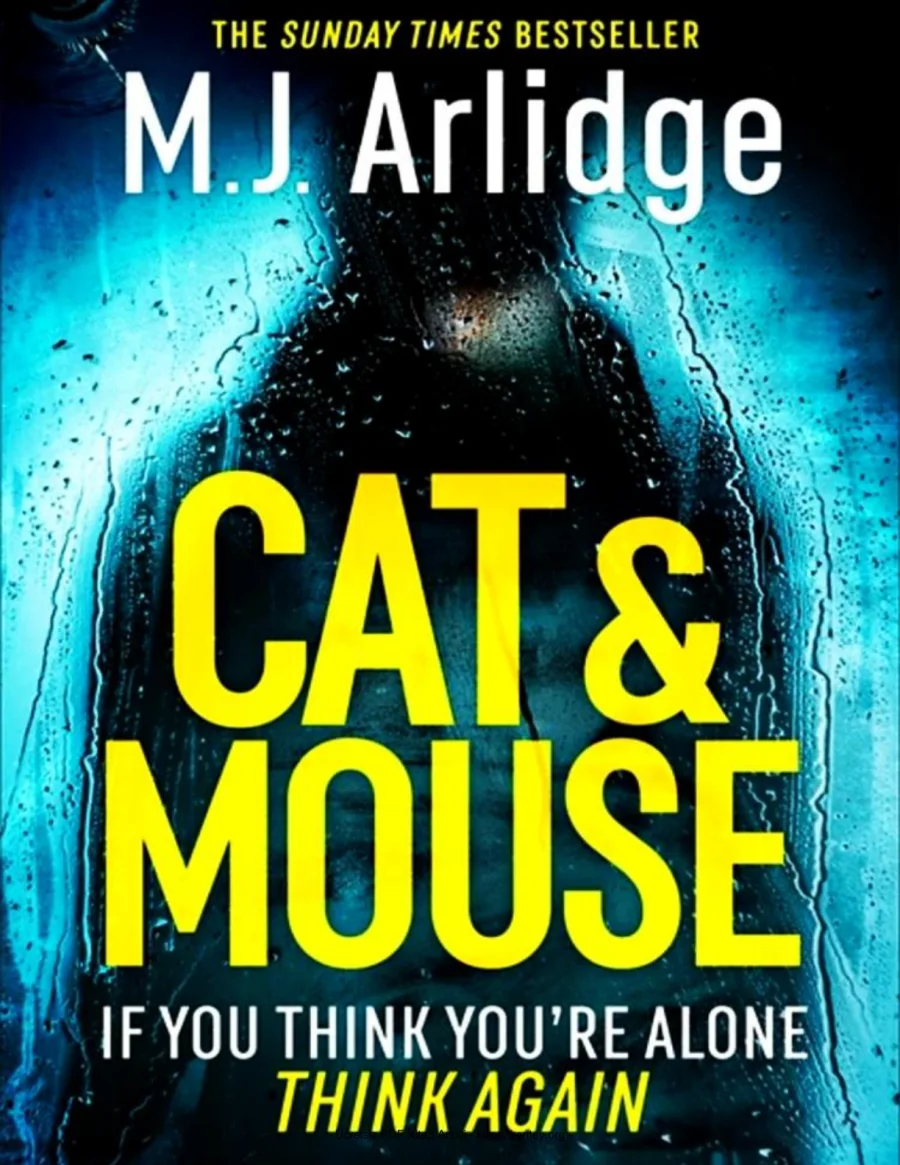Cat Mouse kapak görseli