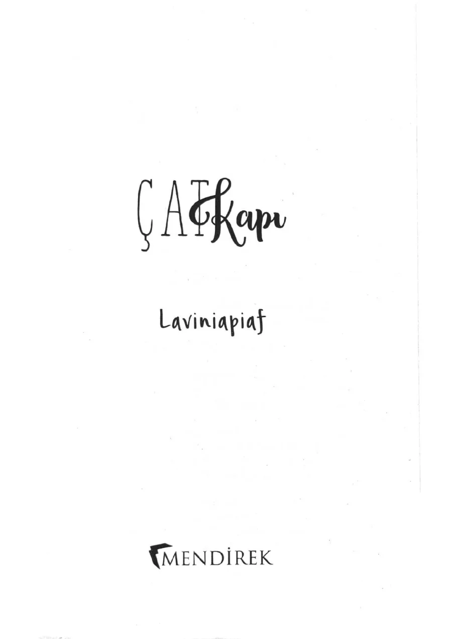 Çatkapı kapak görseli