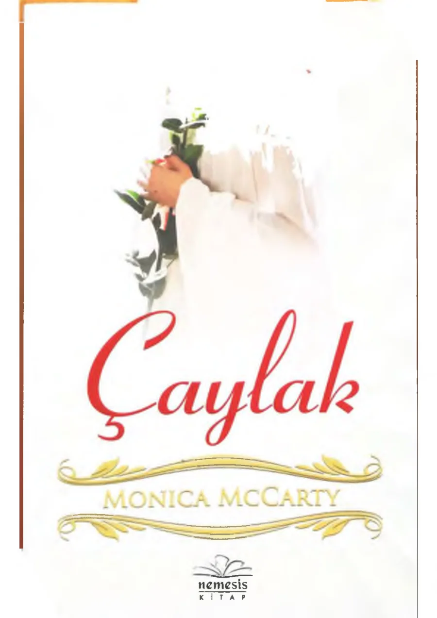 Çaylak kapak görseli
