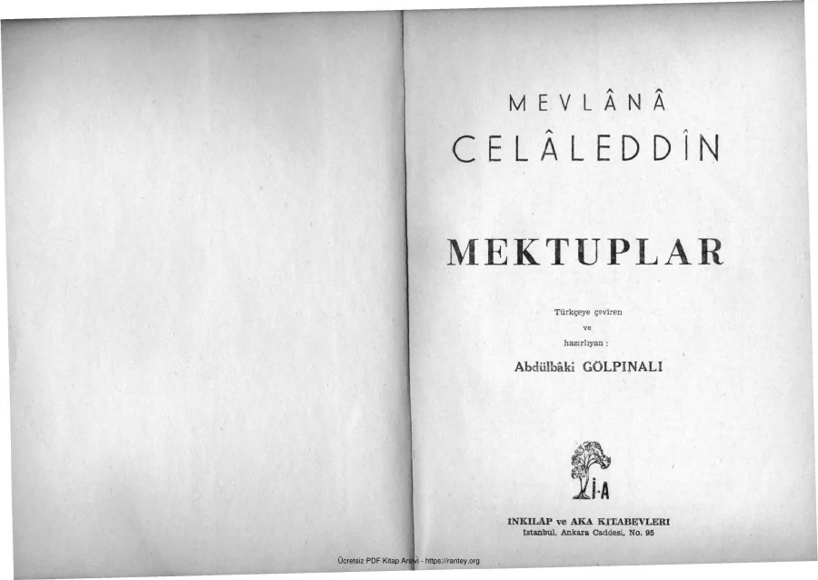 Celaleddin kapak görseli