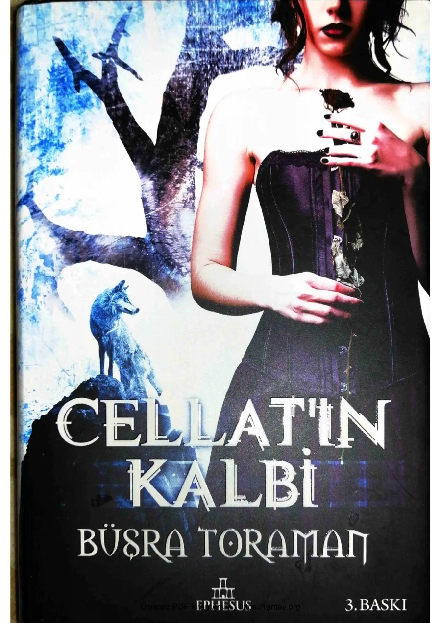 Cellatın Kalbi kapak görseli