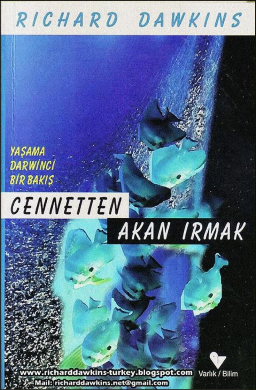Cennetten Akan Irmak kapak görseli