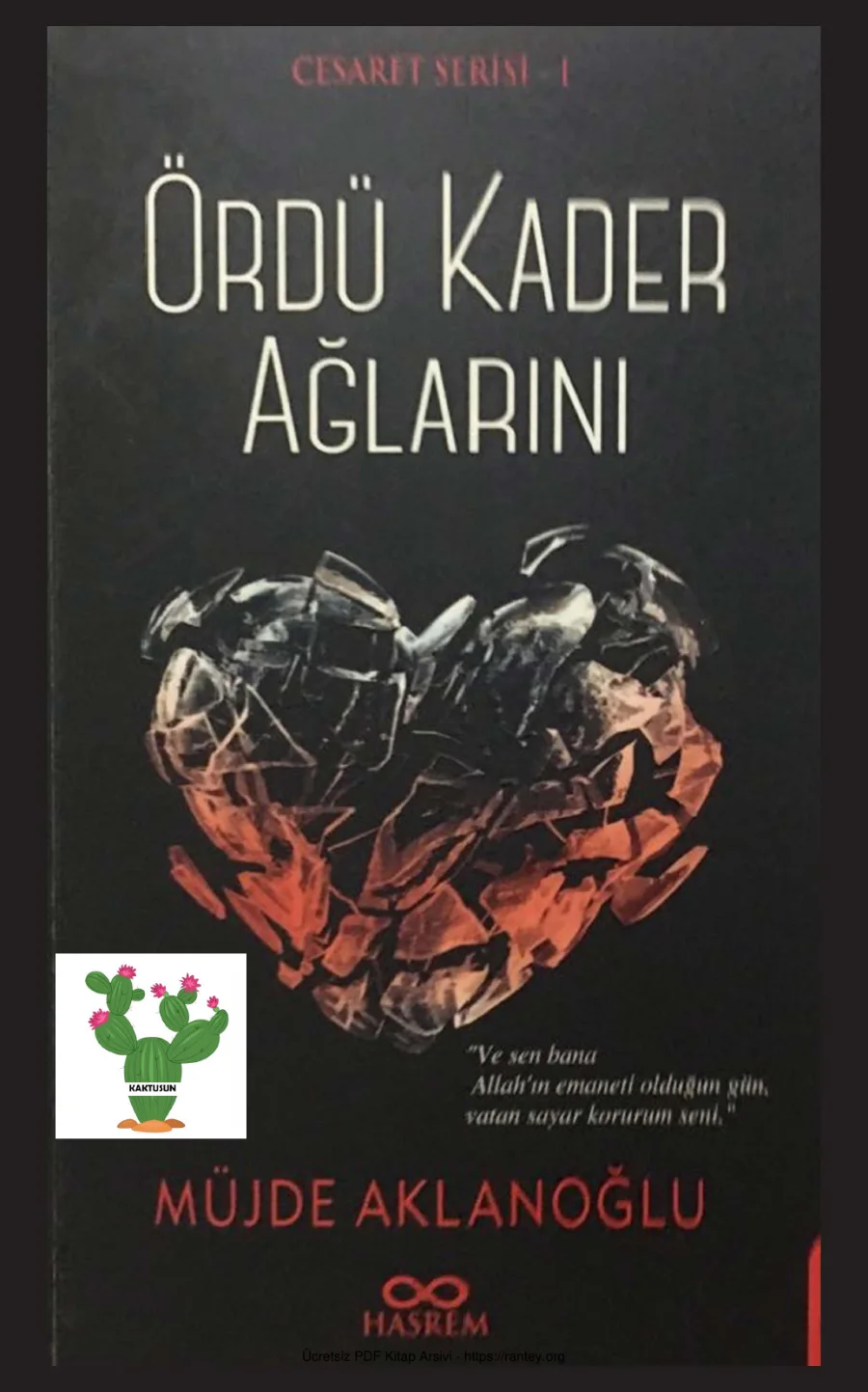 Cesaret 1: Ördü Kader Ağlarını kapak görseli