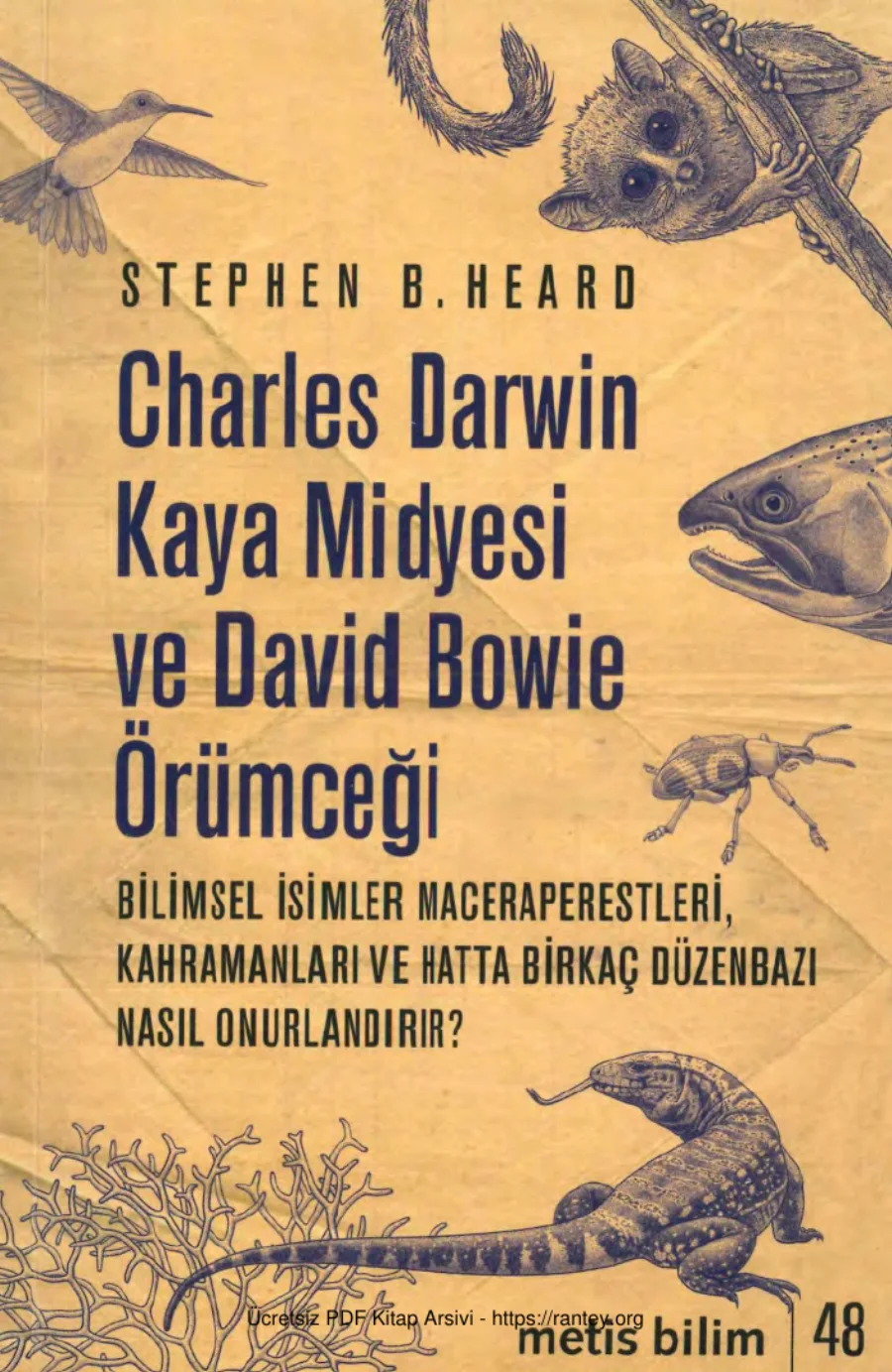 Charles Darwin Kaya Midyesi ve David Bowie Örümceği kapak görseli