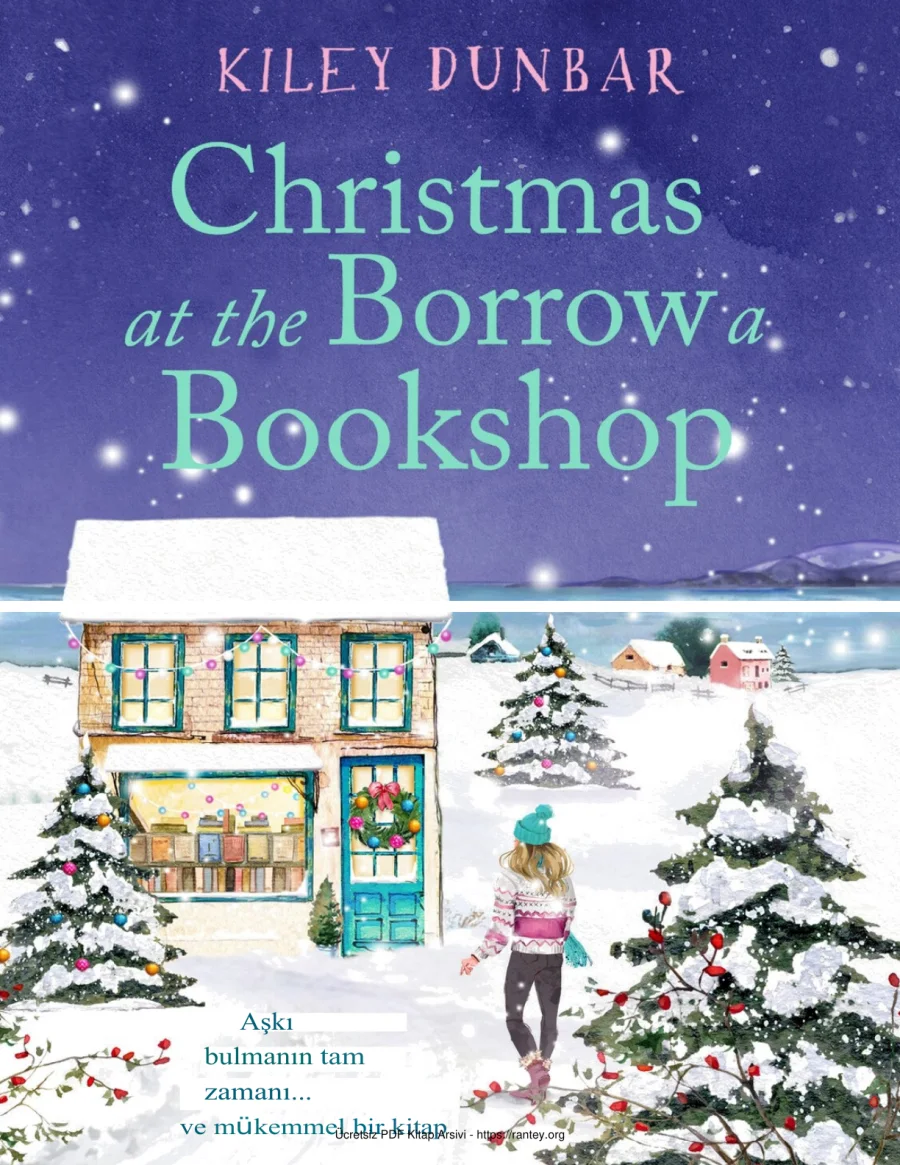 Christmas at the Borrow a Bookshop kapak görseli