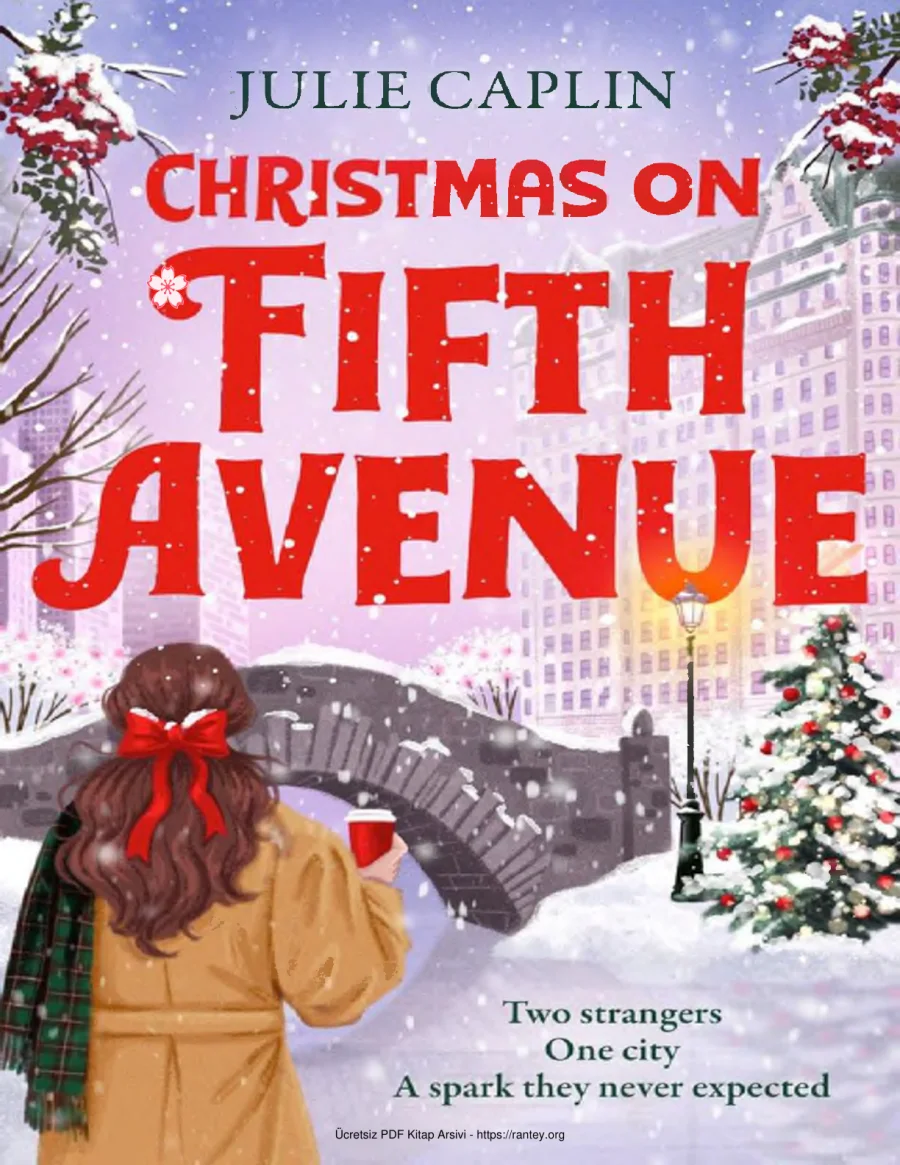 Christmas on Fifth Avenue kapak görseli