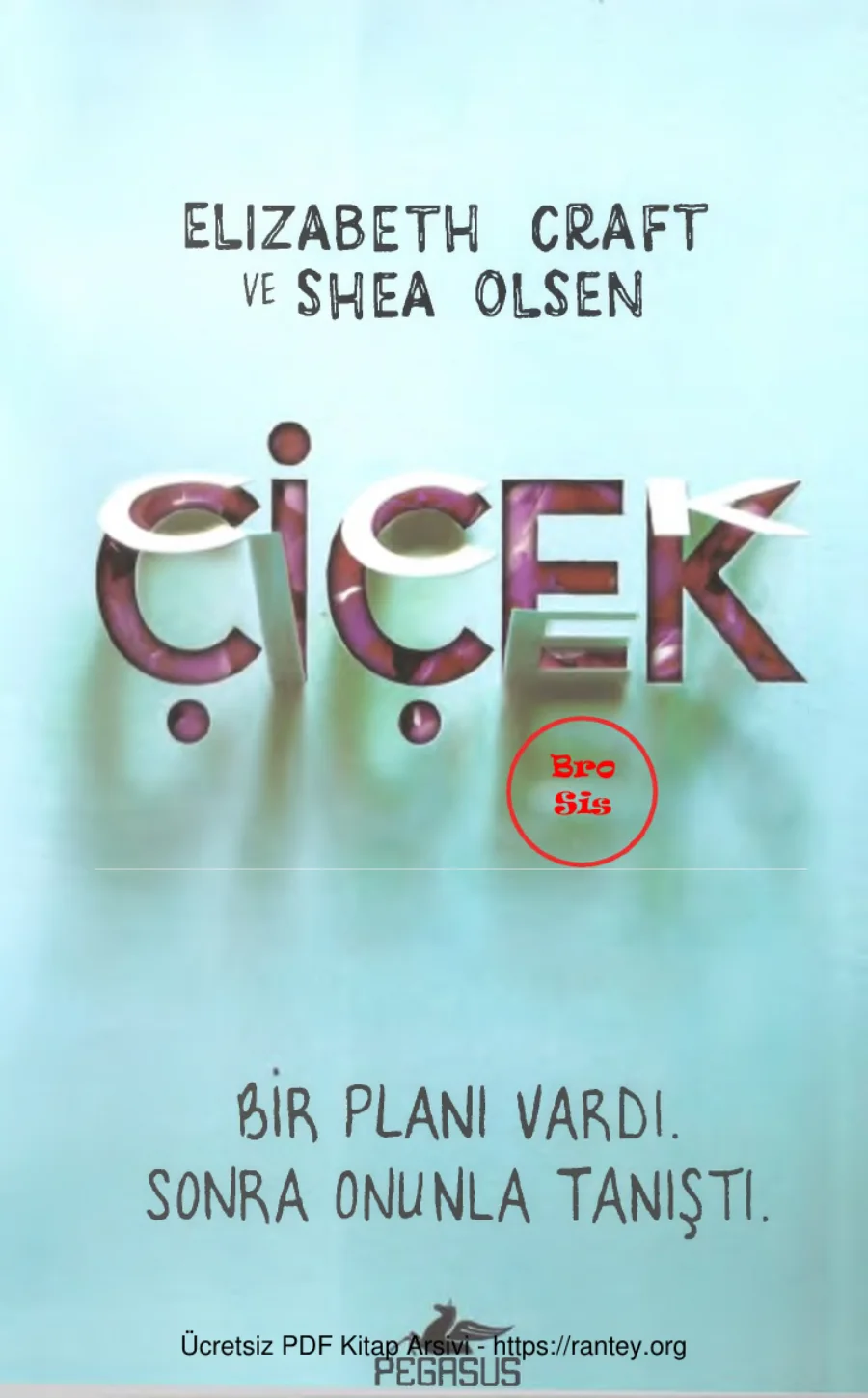 Çiçek kapak görseli