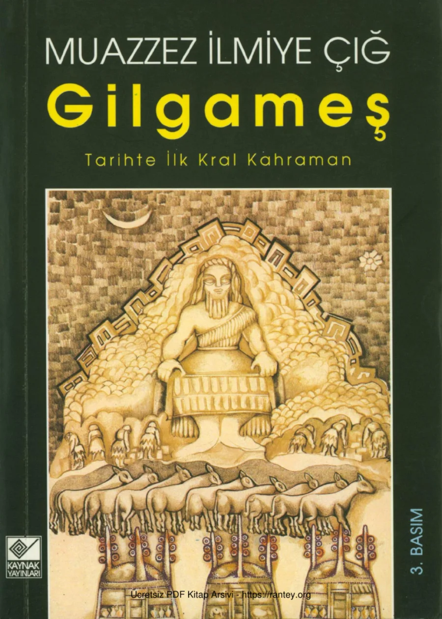 Çığ kapak görseli