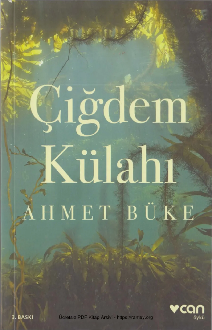 Çiğdem Külahı kapak görseli