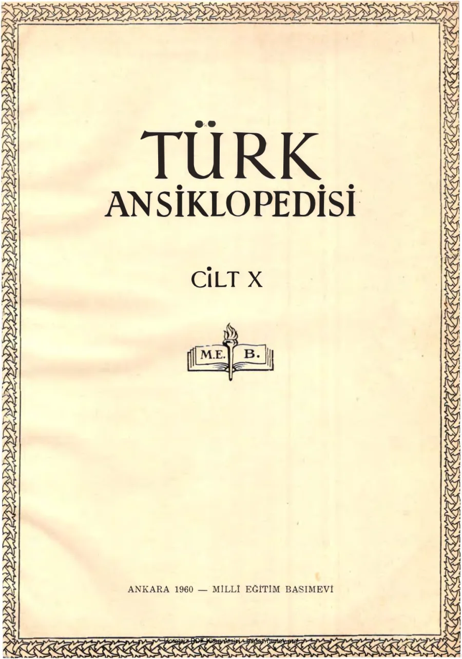 Cilt 10 kapak görseli