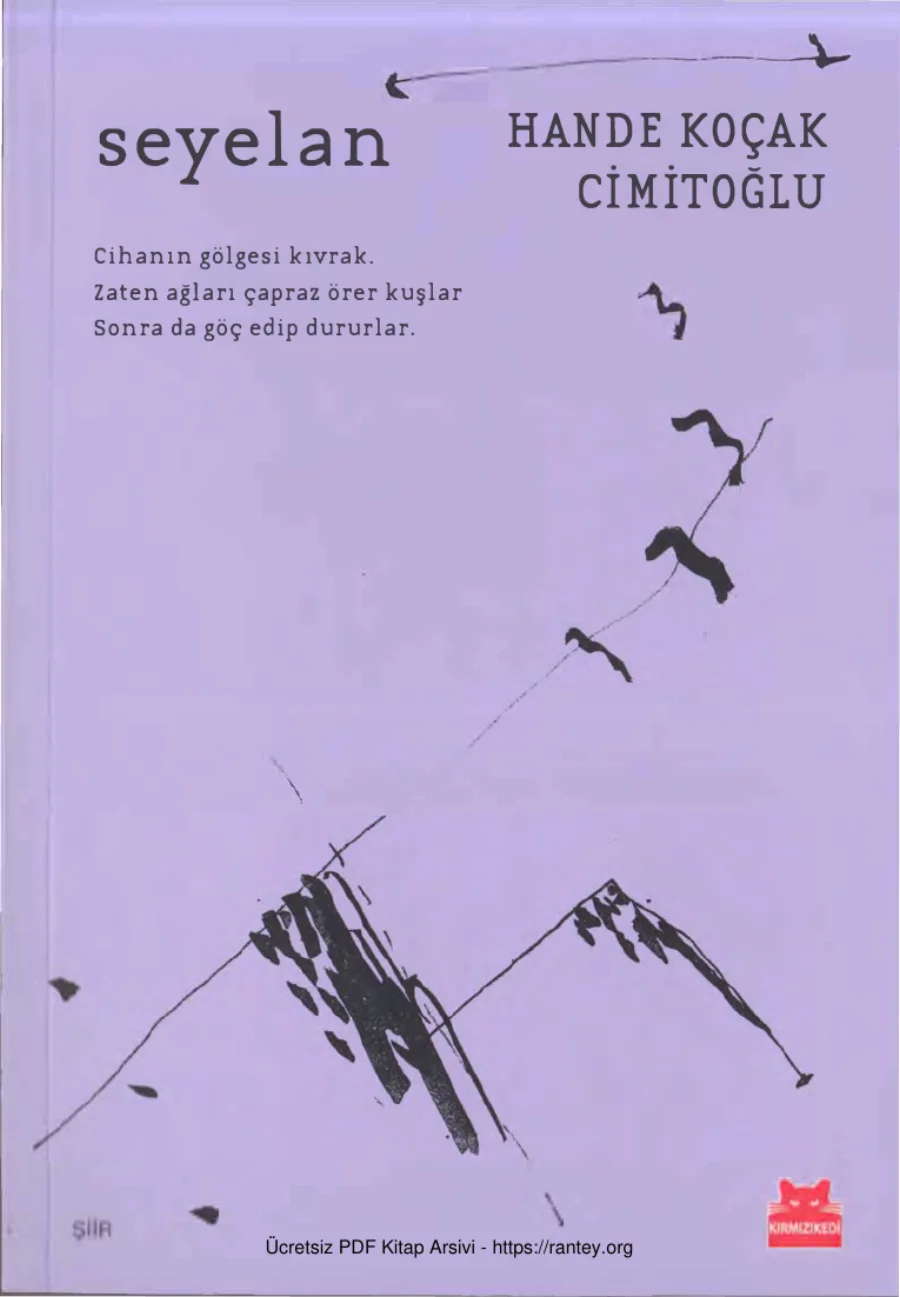 Cimitoğlu Seyelan kapak görseli