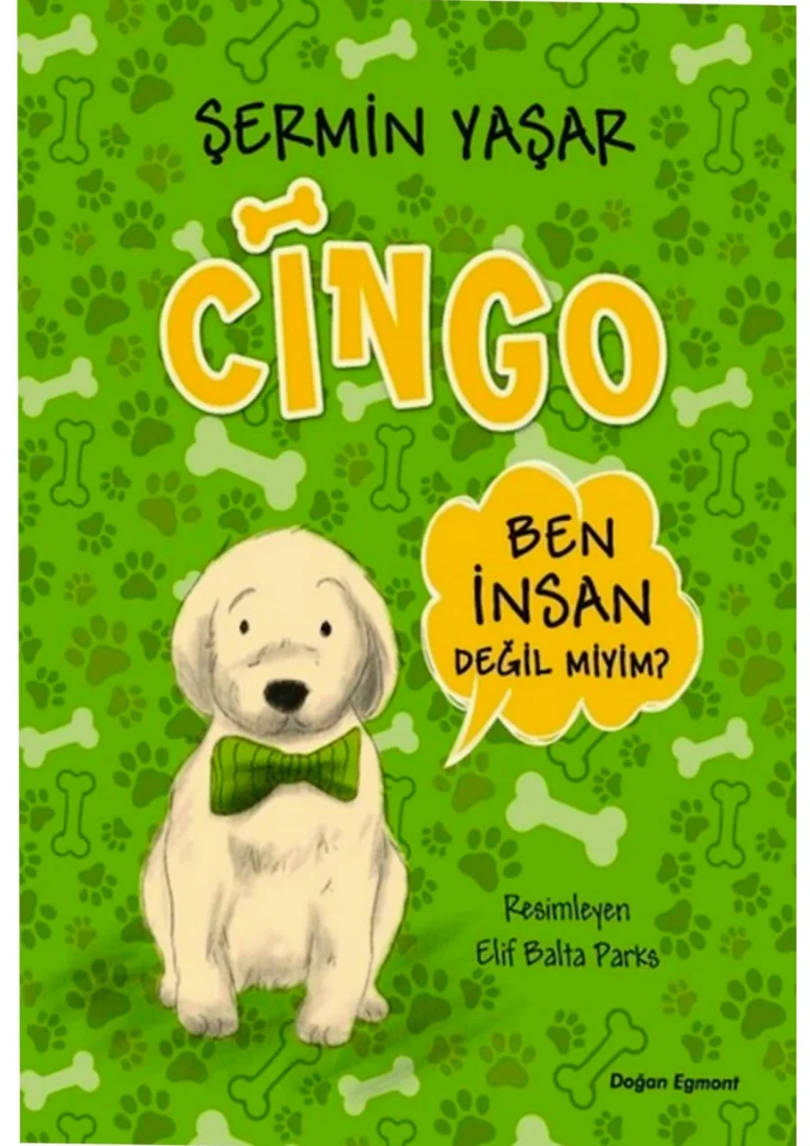 Cingo kapak görseli