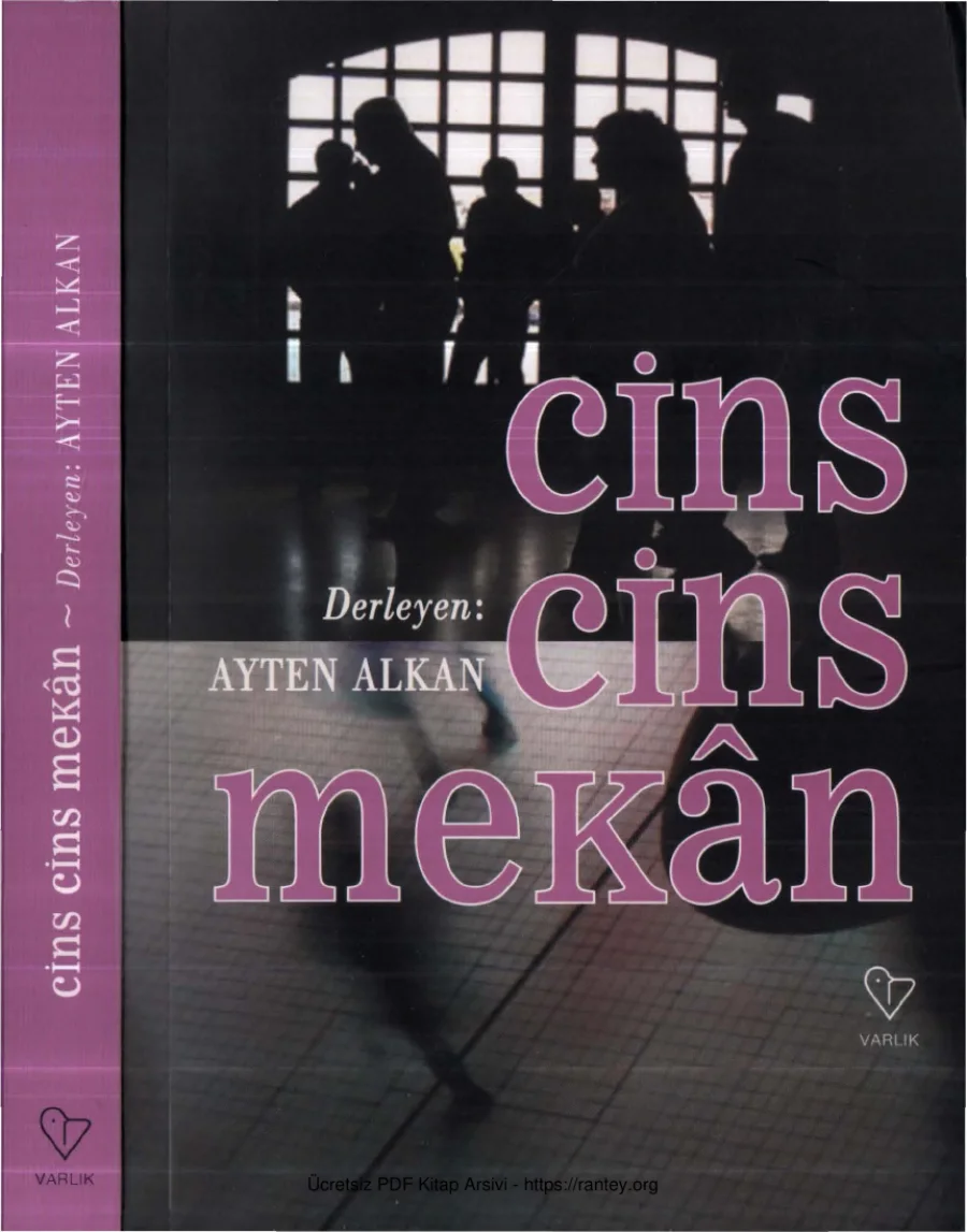 Cins Cins Mekan kapak görseli