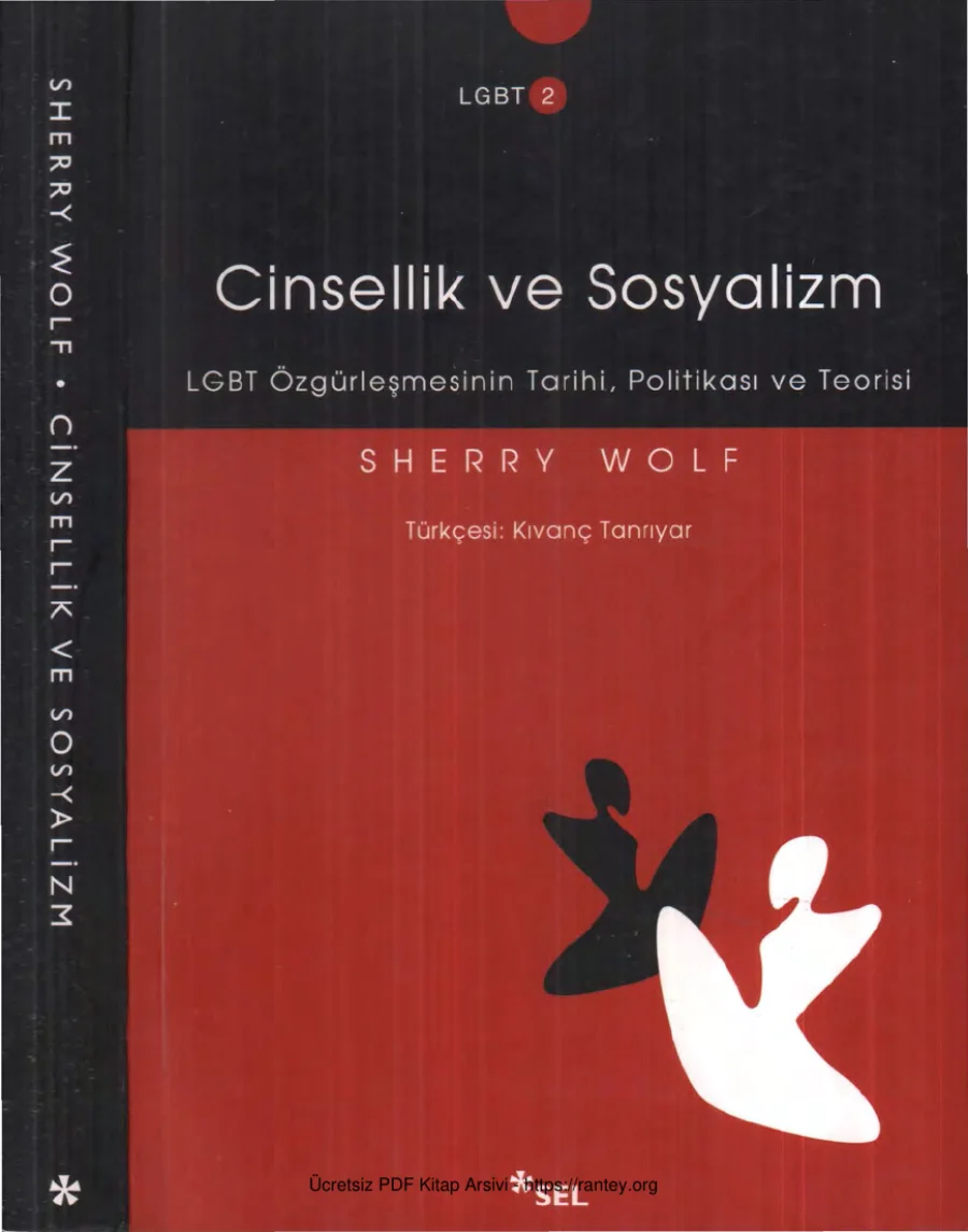Cinsellik ve Sosyalizm kapak görseli