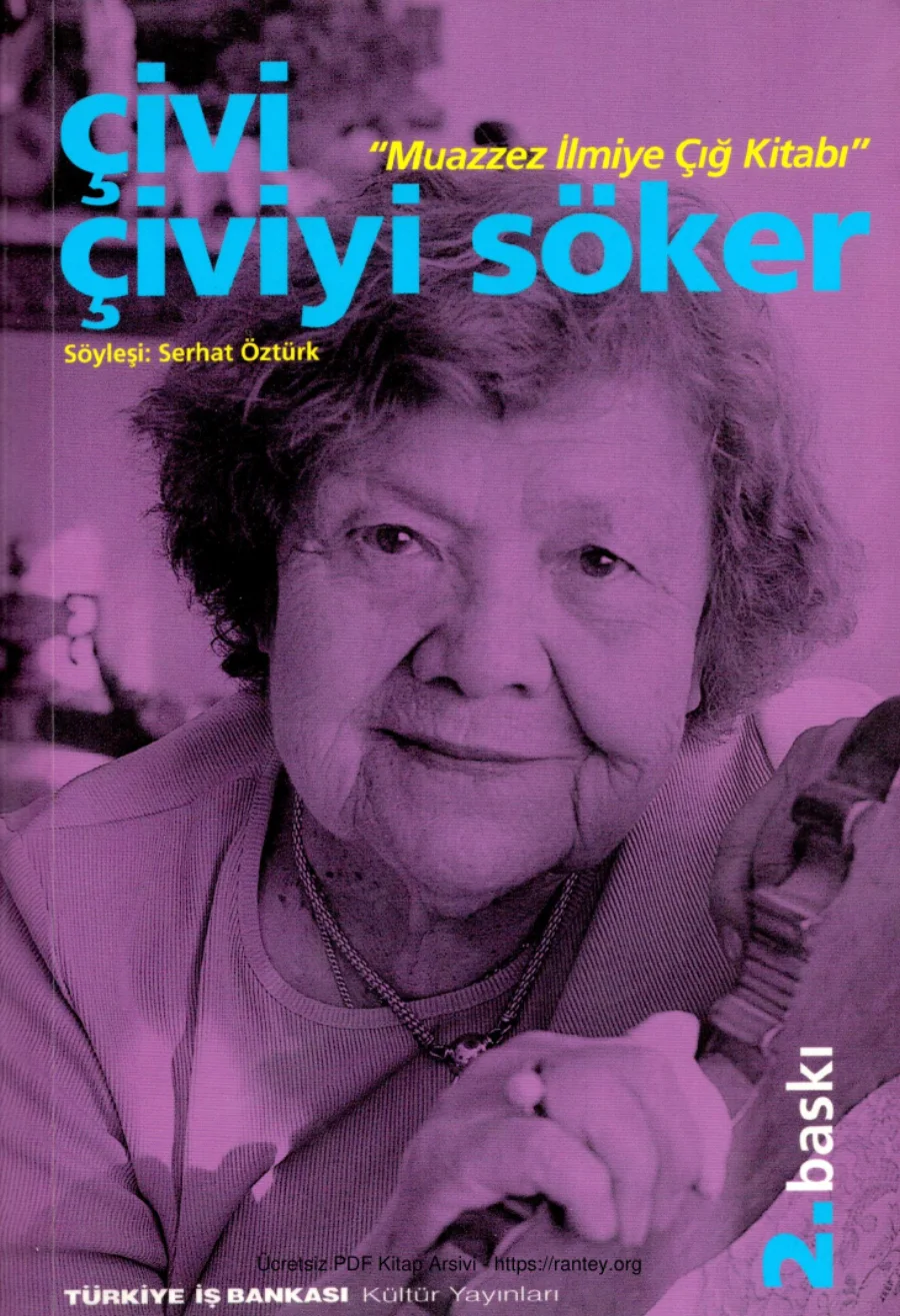 Çivi Çiviyi Söker Muazzez İlmiye Çığ kapak görseli